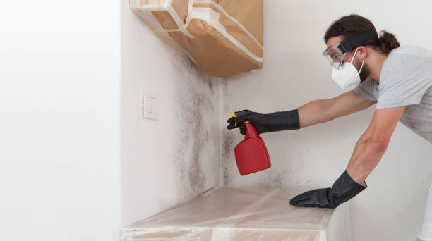 Professional Commercial Mold Remediation technician working in Hallettsville, TX
