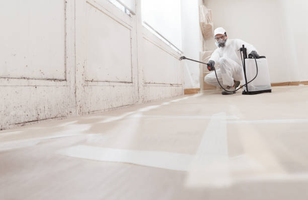 24/7 Emergency Commercial Mold Remediation experts in Hallettsville, TX