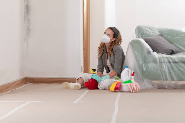 Reliable Commercial Mold Remediation contractor in Hallettsville, TX by 24 Hour Mold Removal