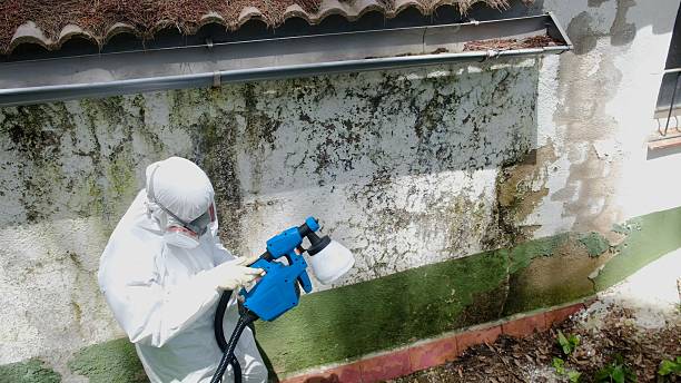 Top rated local Commercial Mold Remediation specialists in Hallettsville, TX